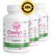 Ozelyt CS 20b Pack 3 bottles - Peak Digestive Performance