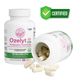 CS 20b - Ozelyt Probiotic Formula